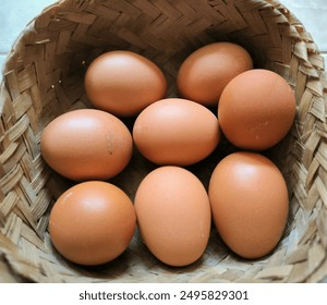 egg